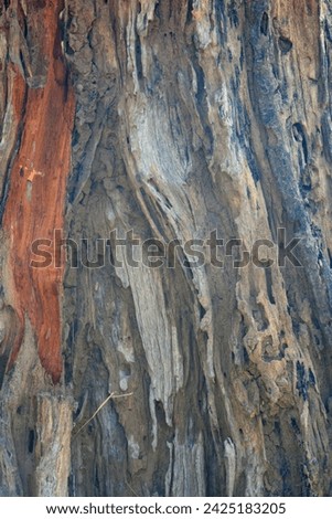Old tree texture. Bark pattern, For background wood work, Bark of brown hardwood, thick bark hardwood, residential house wood. nature, tree, bark, hardwood, trunk, tree , tree trunk close up texture Royalty-Free Stock Photo #2425183205