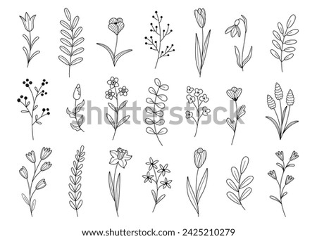 Hand drawn set of herbs and wild flowers. Spring summer floral elements. Vector illustration.