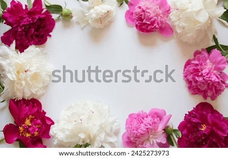 Natural Spring floral frame of peony flowers on white background. Beautiful Template with Copy Space for design to Womens Day, Mothers day, birthday. Top view, Flat lay