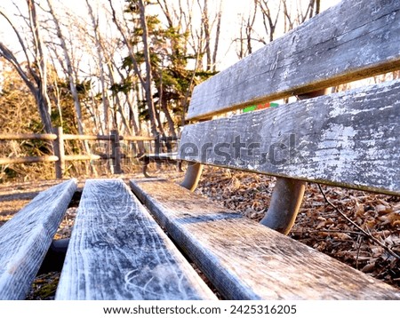 Park bench in the evening