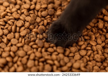 Food for animals background. Dry cat and dog food texture, pattern. Pet meal background close up. Dry food for pet dogs and cats. Dried pet food top view. Granules of good nutrition for dogs and cats.