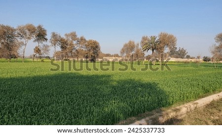 Beautiful Agricultural Farm Picture outdoor Image
