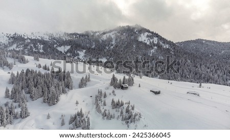 Panoramic view of the ski slopes of the Goderdzi mountain resort in Georgia. Winter landscapes in Georgia. Tourism in Georgia in winter. Arsian mountain range.Winter snowy landscape. Georgia in winter