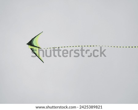 Kite in a selective focus 