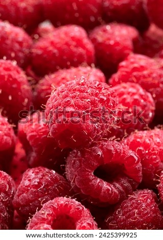 A wonderful picture of raspberries