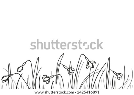 Field with wildflowers snowdrops plants ink sketch hand drawn banner white background vector illustration. Design  floral pattern with black line silhouette of glade snowdrops flowers, spring texture