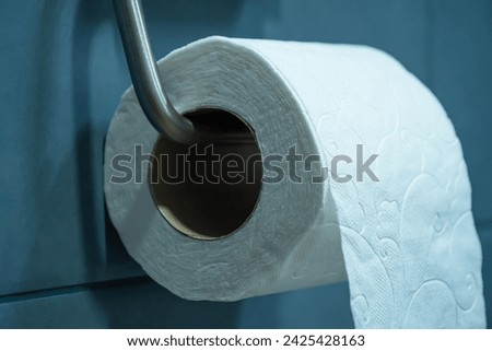 A roll of toilet paper, hanging on a metal toilet paper holder on a turquoise bathroom wall, close-up view. Royalty-Free Stock Photo #2425428163