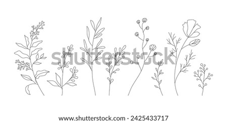 Hand drawn wild field flora, flowers, leaves, herbs, plants, branches. Minimal floral botanical line art. Vector illustration for logo or tattoo, invitations, save the date card.	 Royalty-Free Stock Photo #2425433717