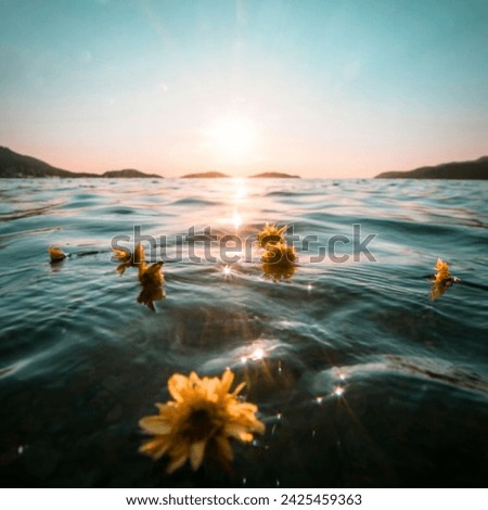 Black flowers floating on top of clear blue ocean water, sparkles, sun, cinematic, photo