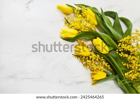 Greeting for International Women's Day on March 8th. Branches of mimosa and tulips Royalty-Free Stock Photo #2425464265