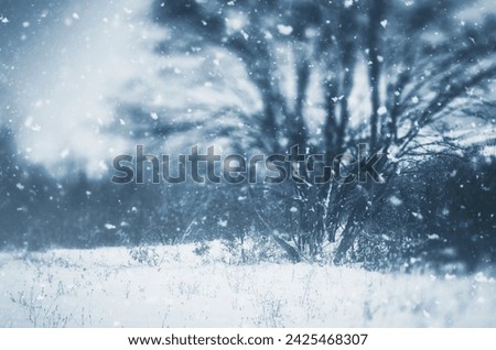 snow flakes falling, fantasy winter background