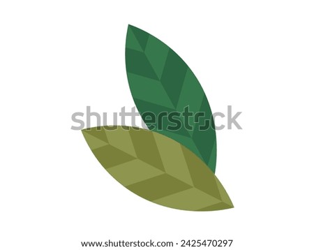 Leaves vector illustration. The leaves concept illuminates rich diversity and beauty foliate arrangements Natural botanical wonders come to life as leaves sprout and plants bloom In realm botany