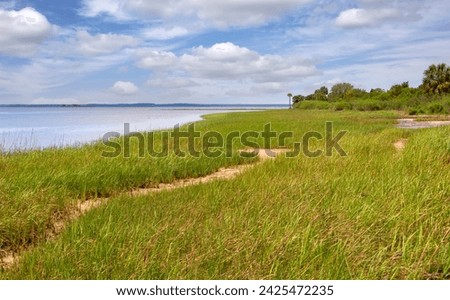 Coastal shoreline of the Saint Marks River, at Saint Marks National Wildlife Refuge, blue sky and natural wetlands.