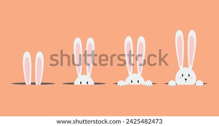 White easter rabbit set. Easter Bunny