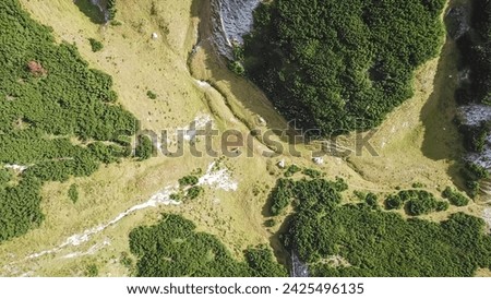 Aerial view of lush green alpine meadows and forest in untamed Hochschwab mountain region, Styria, Austria. Scenic hiking trail in remote Austrian Alps. Birds eye drone shot. Natural terrain. Nature Royalty-Free Stock Photo #2425496135