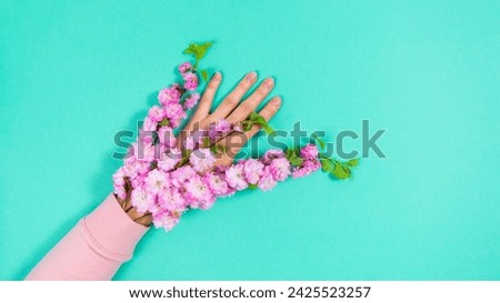 Natural blooming sakura branches with lush flowers in pink sleeve on a woman's hand. Greenish-blue background.  Coming of spring and femininity symbol. Copy space. Royalty-Free Stock Photo #2425523257