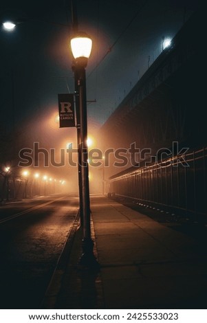 Creepy Halloween type street picture with a foggy street.