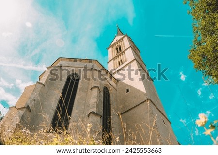Church of St. Leonard and meadow flowers and herbs on blue sky background.Religious symbol. Catholic Church architecture outside.Christian and catholic faith symbol.