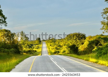 Beautiful street road in Africa with a nice landscape view. The picture is beautiful and use for background or wallpaper. Empty road with cloudy weather gives an extra beauty of nature. 