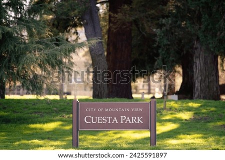 Cuesta Park in Mountain View, Silicon Valley, SF Bay Area.  Favorite park of MV residents, home of Mountain View Tennis, located directly beside the El Camino YMCA, lots of trees,  large playground