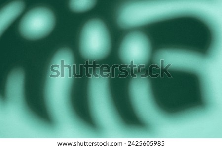 Shadows from monstera leaves on a light green background.
