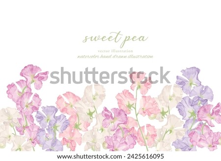 Watercolor hand drawn sweet pea illustration frame material set Royalty-Free Stock Photo #2425616095