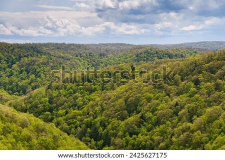 Big South Fork National River and Recreation Area in Kentucky Royalty-Free Stock Photo #2425627175