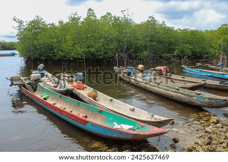 Wooden boat waiting for high tide in the estuary, near the mangrove forest.