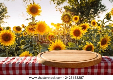 sunflower seeds in sack. Sunflower seeds in burlap bag on wooden table with field of sunflower on the background. Sunflower field with blue sky. Photo with copy space area for a text.