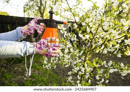 Spring processing of fruit trees, spraying, protection against diseases and insects. The concept of spring work in the garden. In the hands of the girl is an orange sprinkler.

