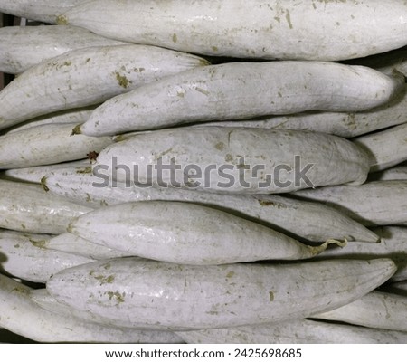 Close-up of bunch of stunning ivory white Snake gourd(Trichosanthes cucumerina,Padavalanga,Chichinda,Padwal,Pudalankaai)kept on the vegetable market ready for sale ultra hd hi-res stock image photo.
