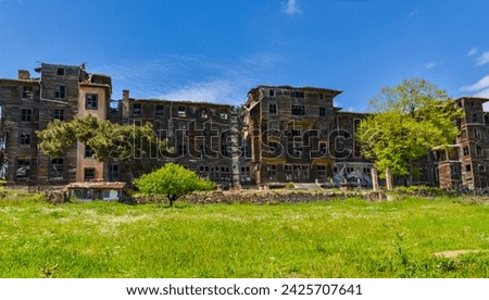 Prinkipo Greek Orthodox Orphanage ruins on Büyükada island (Adalar, Turkey) Royalty-Free Stock Photo #2425707641