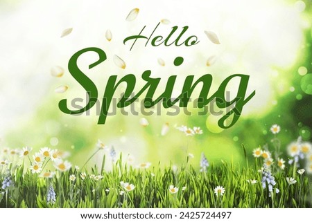 Hello Spring card design with beautiful flowers and green meadow Royalty-Free Stock Photo #2425724497