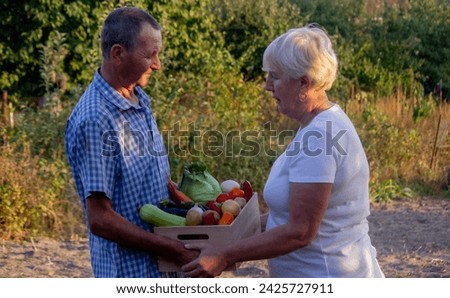 two farmers stand together with a box full of freshly picked vegetables in a local farmland. Concept of organic food and sustanable lifestyle