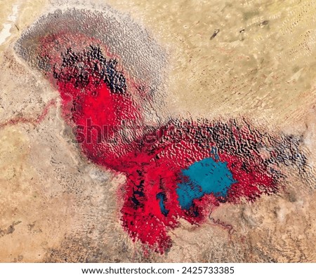 The Ups and Downs of Lake Chad. The oncegreat lake has lost most of its water and now spans less than a tenth of the area it covered in. Elements of this image furnished by NASA.
