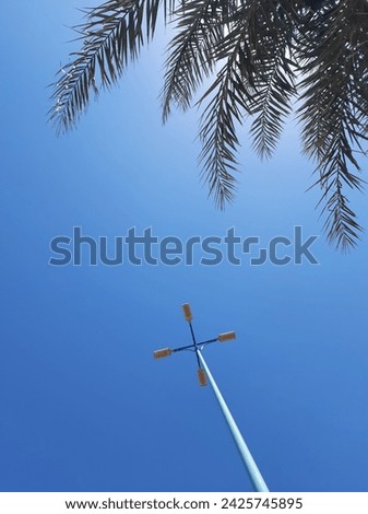 A park next to the sea with palm trees, lighting poles and green spaces