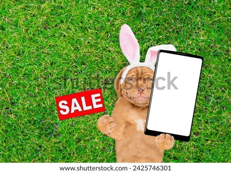 Smiling Mastiff puppy wearing easter rabbits ears holds big smartphone with white blank screen in it paw and lies on its back on green grass. Top down view