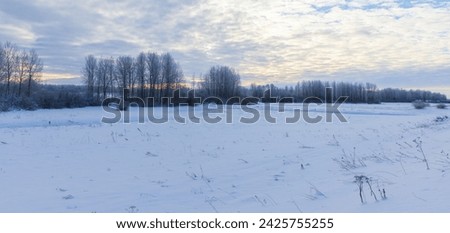 Panoramic winter landscape photo with snowy river bank and bare trees on the background