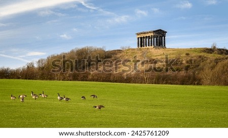 Penshaw Monument and Canada Geese. Penshaw Monument is a smaller copy of the Greek Temple of Hephaestus in Athens. Erected in 1844 the folly stands 20 metres high and dominates the skyline of Wearside Royalty-Free Stock Photo #2425761209