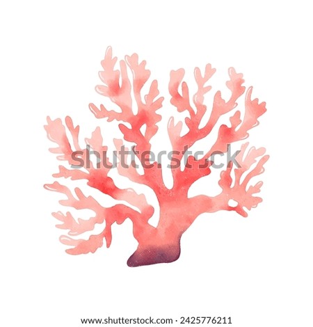 Vector coral in watercolour style isolated. Clip art of a pink coral. 