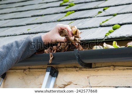 clearing blocked gutter of autumn leaves on ladder Royalty-Free Stock Photo #242577868