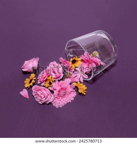 Flowers come out from a glass. Concept photography in studio. Creative design. 