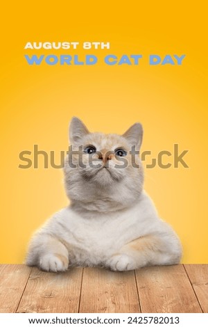 August 8th International Cat Day poster. Portrait of a large orange cat with blue eyes at a table. Royalty-Free Stock Photo #2425782013