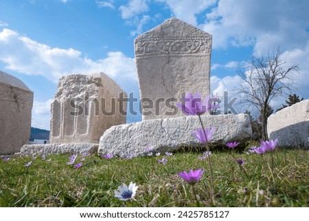 Stecci Medieval Tombstones Graveyards in Radimlja, Bosnia and Herzegovina. Unesco site. Historic place of interest. The tombstones feature a wide range of decorative motifs and inscriptions.