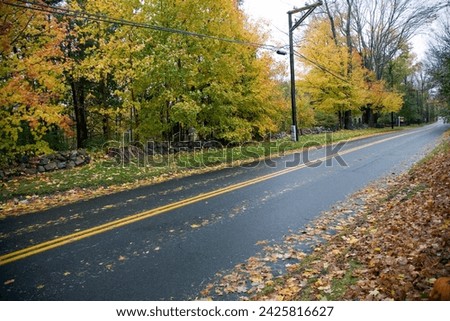 Autumnal scene: a secondary road and fallen leaves in Connecticut, USA Royalty-Free Stock Photo #2425816627
