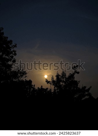 Nighttime summer moon photo nature