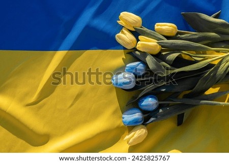spring flowers of blue and yellow tulips lie on the Ukrainian flag. Ukraine will win and be reborn. Support for Ukraine. stop the war. Independence Day. Belief in victory Royalty-Free Stock Photo #2425825767