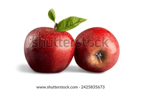 Two apples are shown in the picture. One fruit has a small leaf.