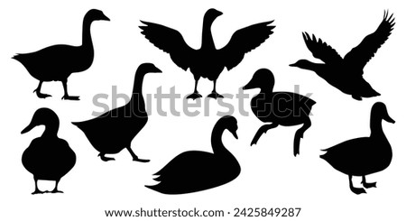 Black Duck Silhouettes vector illustration