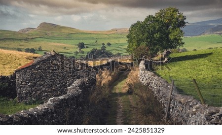 Wide view of a rolling green landscape in the picturesque Yorkshire Dales countryside with stone walls, trees and grazing sheep. Settle, North Yorkshire, England. Royalty-Free Stock Photo #2425851329